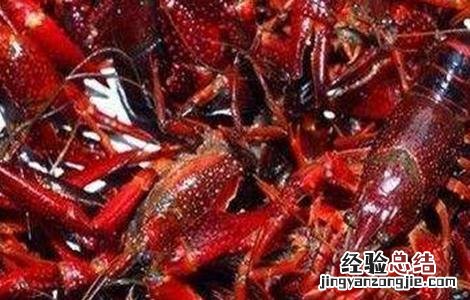 如何提高小龙虾养殖成活率 小龙虾怎么养殖产量高