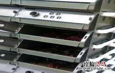 室内养殖小龙虾技术培训 室内养殖小龙虾技术