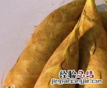 竹笋的功效与作用 竹荪的功效与作用