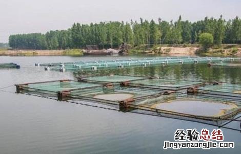 小龙虾养殖技术 小龙虾养殖技术大全视频教程