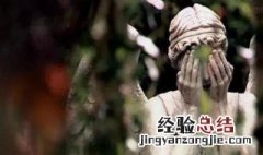 和异种类似的电影 有什么像异种的电影