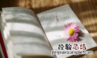 鼓励人坚持下去的句子 鼓励人坚持下去的句子10字以内