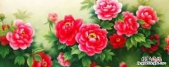 牡丹花吉祥的寓意 牡丹花吉祥语