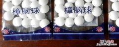 樟脑球驱什么虫 樟脑球能驱虫