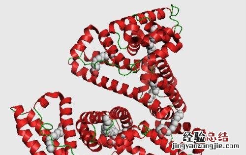 白蛋白偏高是怎么回事 球蛋白偏低是怎么回事