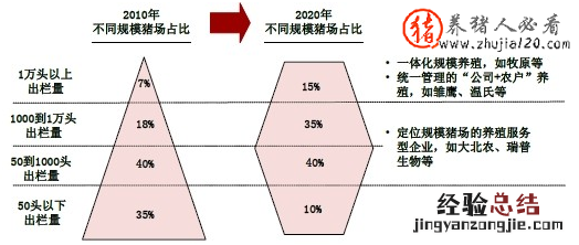 中国生猪养殖的经营管理模式分析