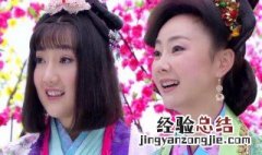 损儿是什么电视剧 损儿的电视剧介绍