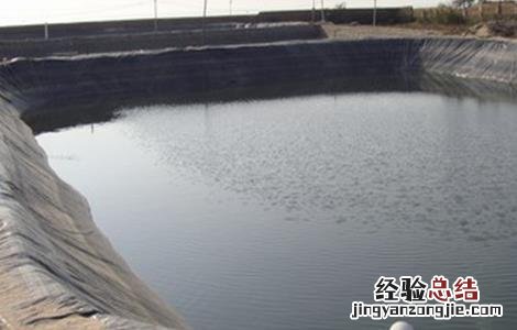 淡水养殖南美白对虾需要注意什么 养殖南美白对虾的注意事项