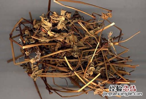 老鹳草图片 老鹳草