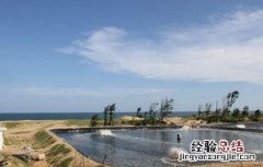 青虾的养殖技术 青虾养殖技术视频完整版