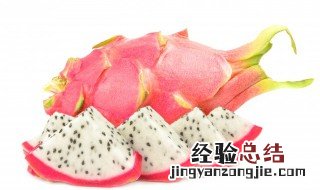 火龙果怎样种植? 火龙果该如何种植