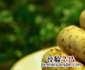 山药的常见做法 山药的做法大全窍门