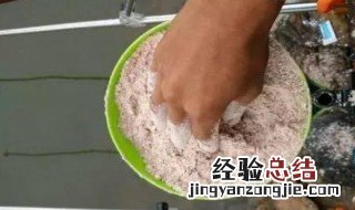 自制面粉鱼饵 如何弄面粉鱼饵