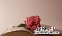 田减一笔是什么字 田减一笔是什么字一年级
