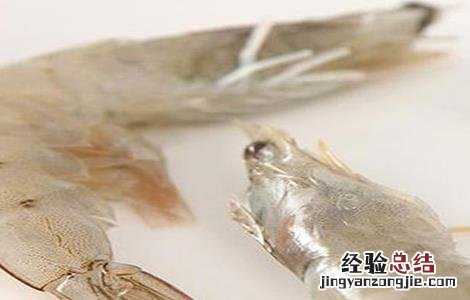 南美白对虾最新养殖技术和病害防治技术 南美白对虾养殖如何预防疾病