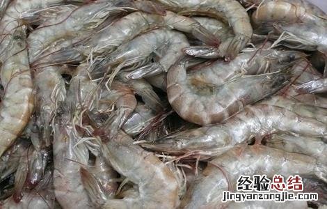 养虾过程中存在的问题 养虾过程中存在的问题及建议