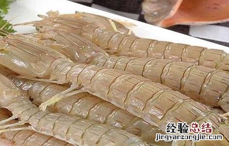 养虾过程中存在的问题 养虾过程中存在的问题及建议