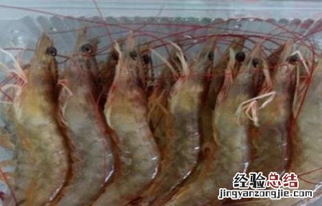 南美白对虾的饲养管理 南美白对虾养殖饲料