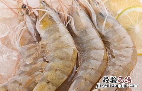 南美白对虾的饲养管理 南美白对虾养殖饲料