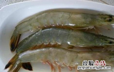 南美白对虾的饲养管理 南美白对虾养殖饲料