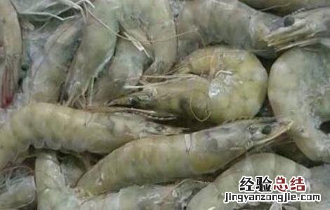 南美白对虾的养殖技术 南美白对虾养殖技术资料