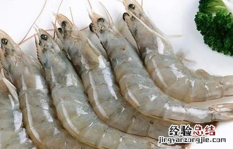 南美白对虾的养殖技术 南美白对虾养殖技术资料