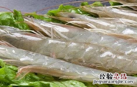 南美白对虾的养殖技术 南美白对虾养殖技术资料