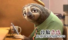 有哪些关于动物的电影? 什么电影有关动物