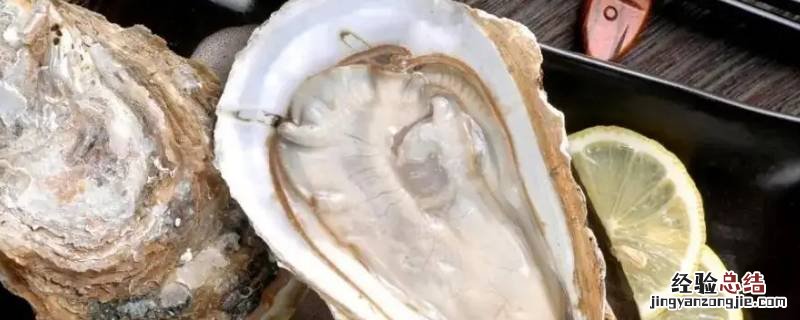 海蛎子蒸了不开口 海蛎子蒸完不开口是怎么回事