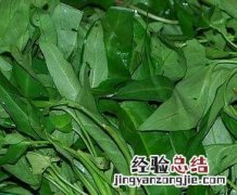 吃空心菜的好处有哪些 吃空心菜有什么好处