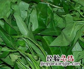 吃空心菜的好处有哪些 吃空心菜有什么好处