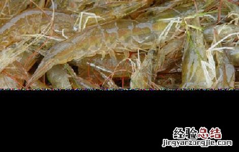 河虾应该怎么养殖 河虾怎么养殖的
