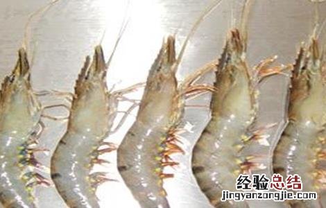 基围虾的养殖方法 基围虾的养殖方法及条件