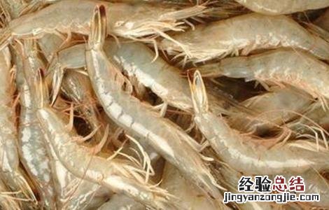 基围虾的养殖方法 基围虾的养殖方法及条件