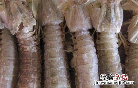 皮皮虾养殖基地 皮皮虾高产养殖技术