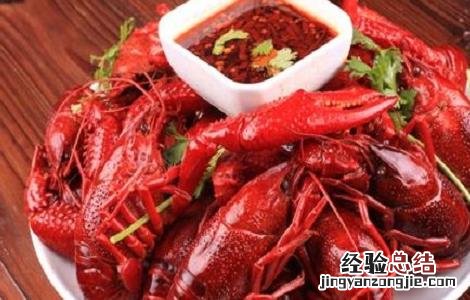 小龙虾养殖的注意事项 小龙虾养殖需要注意什么