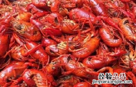小龙虾养殖的注意事项 小龙虾养殖需要注意什么
