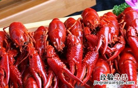 小龙虾养殖的注意事项 小龙虾养殖需要注意什么