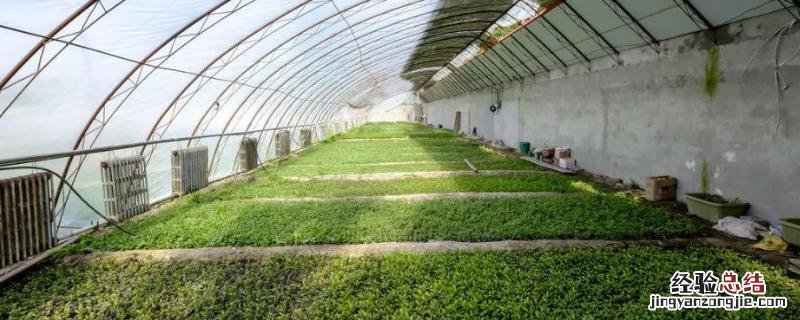 蔬菜大棚的搭建方法，大棚增温块西红柿能用吗?