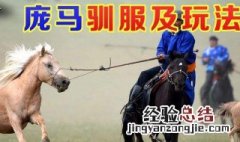 方舟生存进化马怎么驯服 驯服技巧攻略
