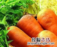胡萝卜营养价值