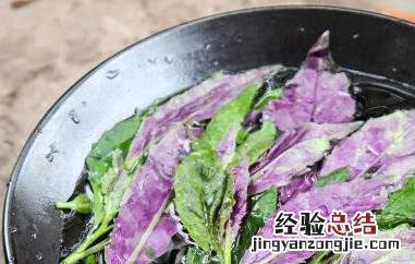 温州观音菜腌制泡菜的做法 温州观音菜如何腌