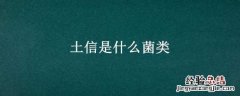 土信是什么菌类 菌土菌是什么菌
