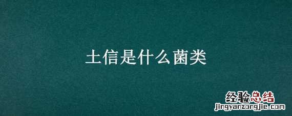 土信是什么菌类 菌土菌是什么菌