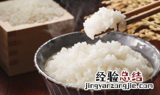 米饭用英语怎么说 米饭用英语如何说