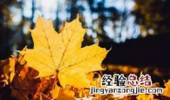 描写秋天表达情感句子 表达秋天情感的句子说说