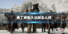 奥丁神叛大法师职业介绍