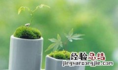 描写青春的唯美段落 描写青春的唯美段落100字