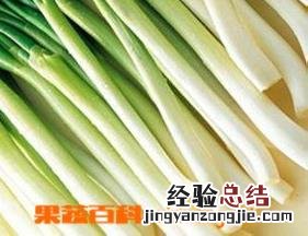 大葱的功效与作用 大葱的功效与作用禁忌