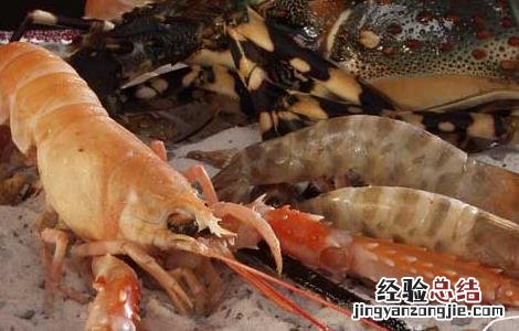 海虾与河虾的区别 海虾跟河虾的区别